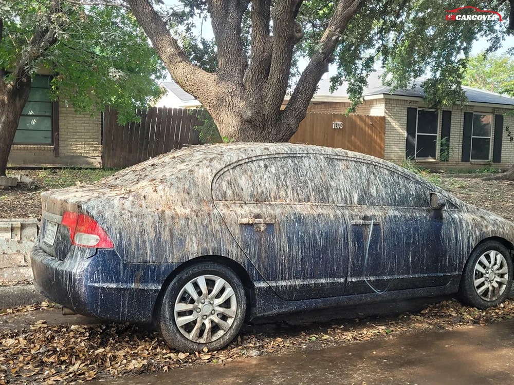 do-car-covers-prevent-bird-droppings-001