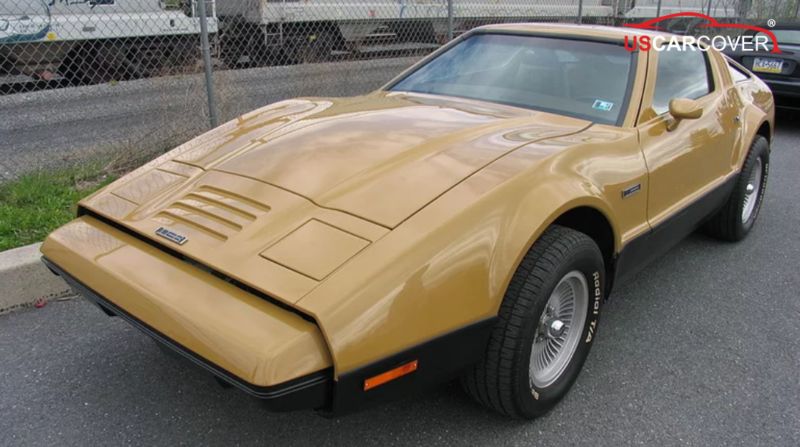Bricklin-car-cover-10