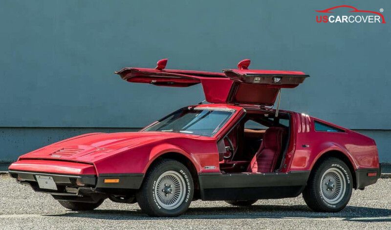 Bricklin-car-cover-5