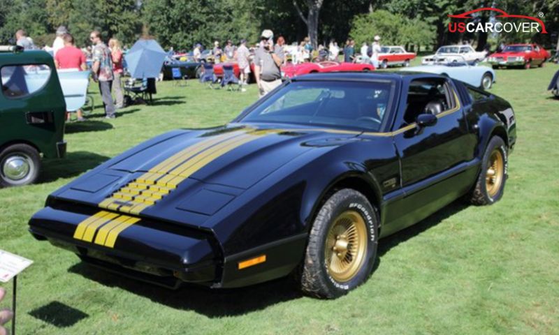 Bricklin-car-cover-8