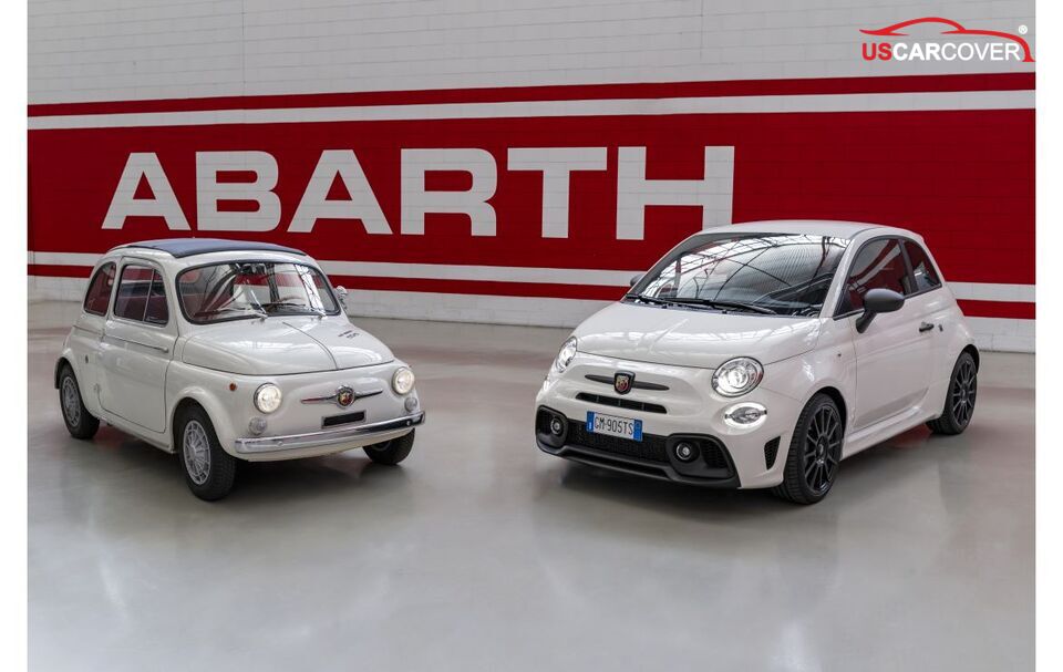 abarth-owner-needs-a-car-cover