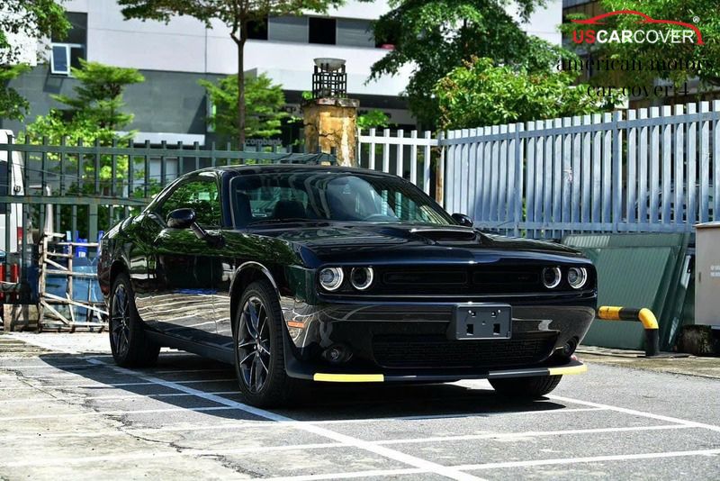 american-motors-car-cover-3