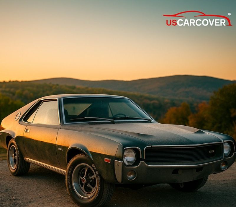 american-motors-car-cover-9
