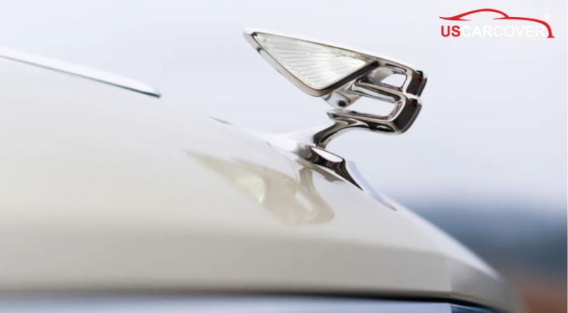 bentley-car-cover-1