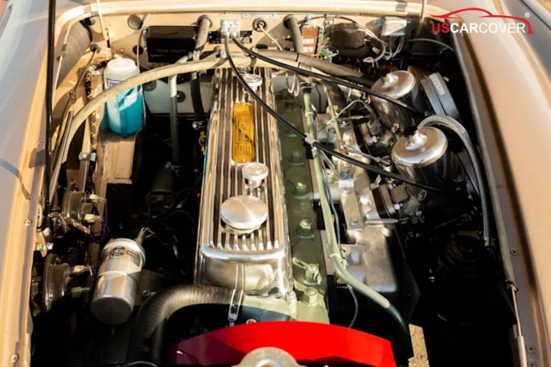 car-cover-Austin-Healey-3000-Arrival-15