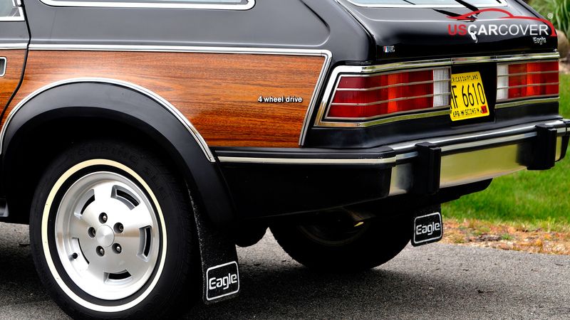 eagle-car-cover-10
