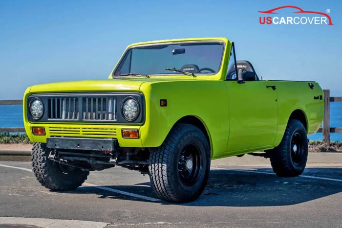 international-car-cover-11