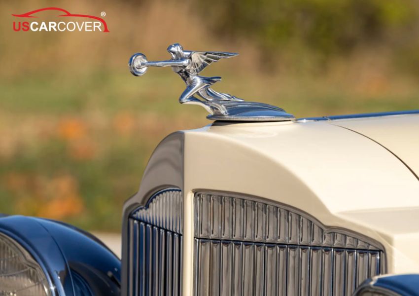 packard-car-cover-3