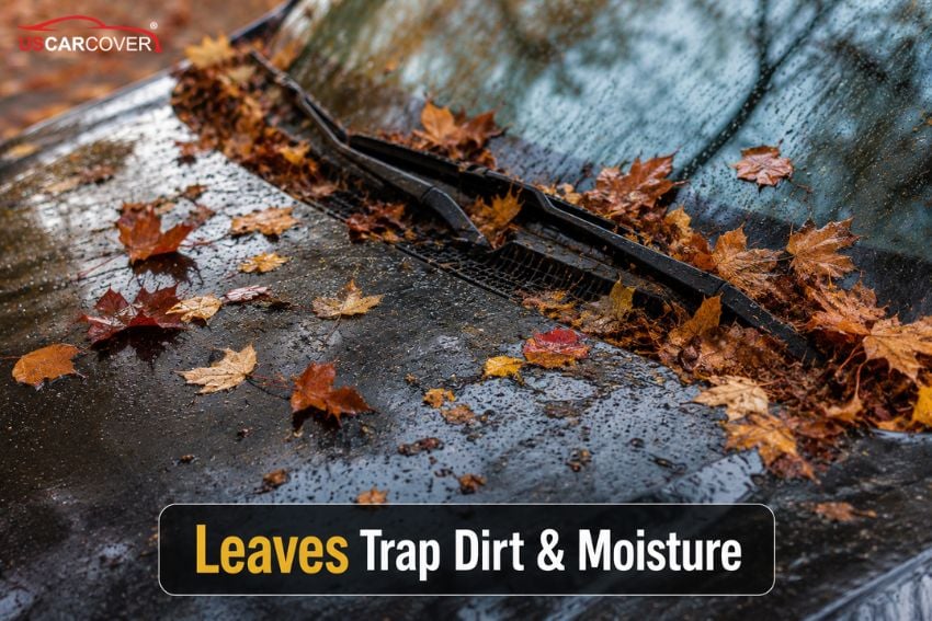 autumn-car-care-guide-prepare-your-4