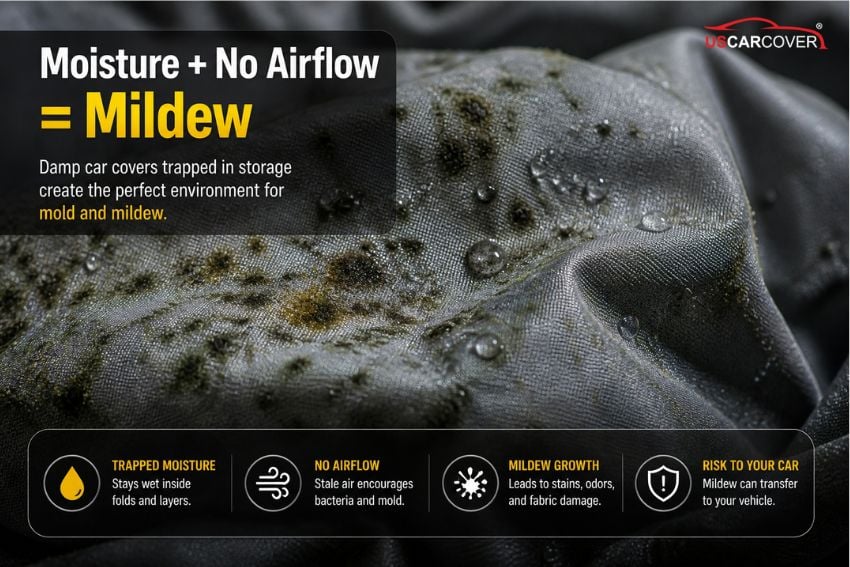 how-to-clean-your-custom-car-cover-7