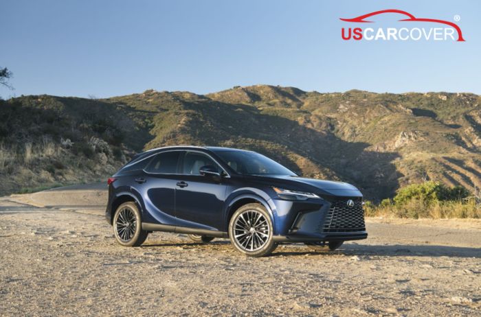 lexus-car-cover-1