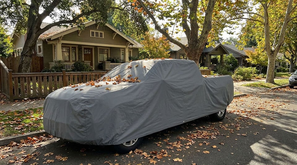 Outdoor cover keeping bird droppings and tree sap off paint